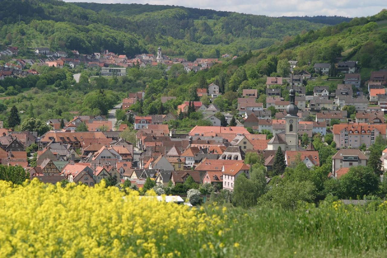 Haus Haas Zimmer&Fewo Apartman Lauda-Königshofen Kültér fotó