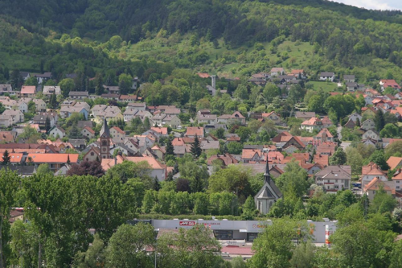 Haus Haas Zimmer&Fewo Apartman Lauda-Königshofen Kültér fotó